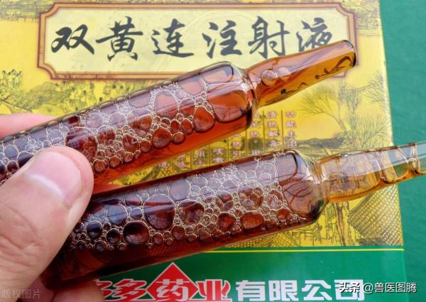 養豬常用的“頭孢”,五個“首選”、兩個“必須”,看看你知道嗎 養豬常用的“頭孢”,五個“首選”、兩個“必須”,看看你知道嗎