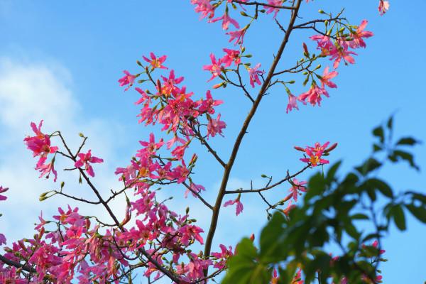 雅稱、代稱、它稱、別稱彙總(二) 雅稱、代稱、它稱、別稱彙總(二)