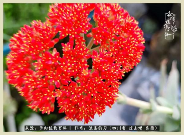 風吹過的夏天,你是仙子落凡間 風吹過的夏天,你是仙子落凡間