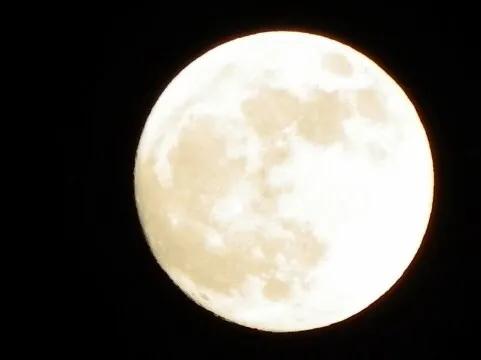 日本的中秋節(十五夜）