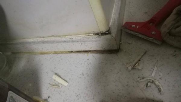 大掃除時,不管有錢沒錢,建議這7件東西囤一些,家務活變輕鬆 大掃除時,不管有錢沒錢,建議這7件東西囤一些,家務活變輕鬆