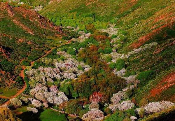 萬人說新疆｜托里縣果子溝景色如畫