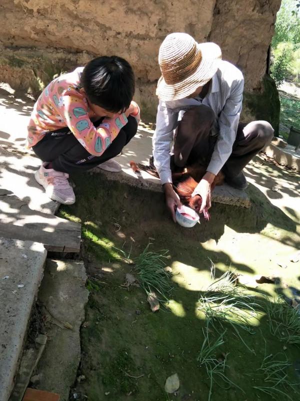 農家待客雞血面(原創) 農家待客雞血面(原創)