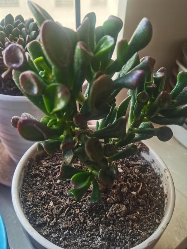 生活就是自己找樂趣