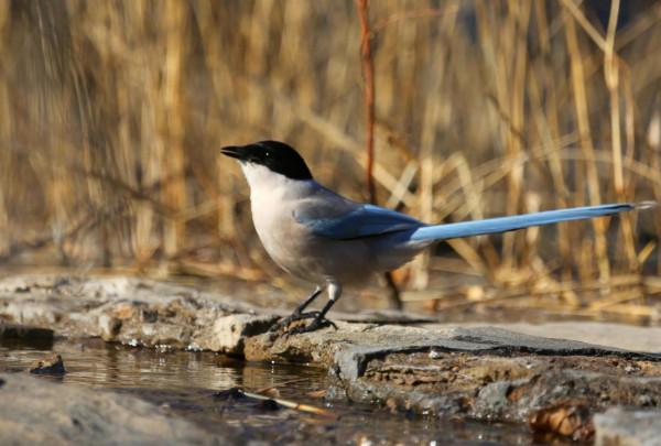 新年伊始，永珍更新，您好2022