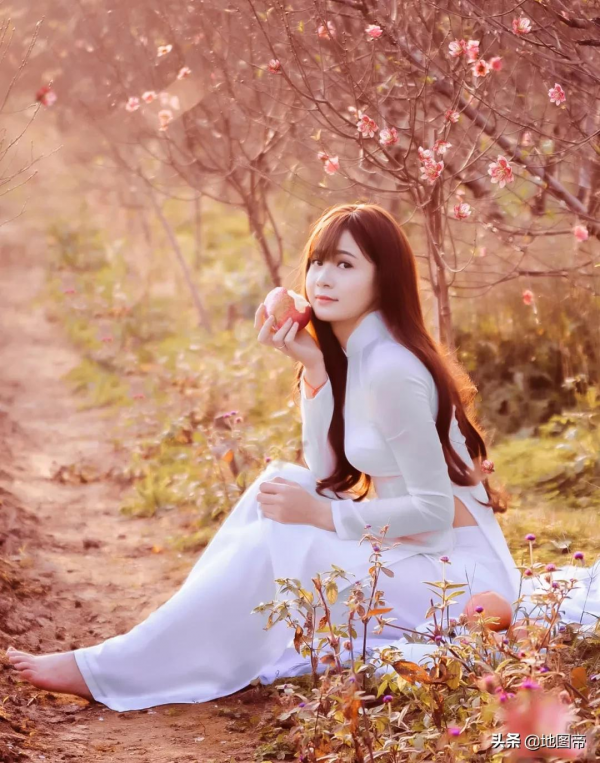 除了中國，還有哪些國家過春節？