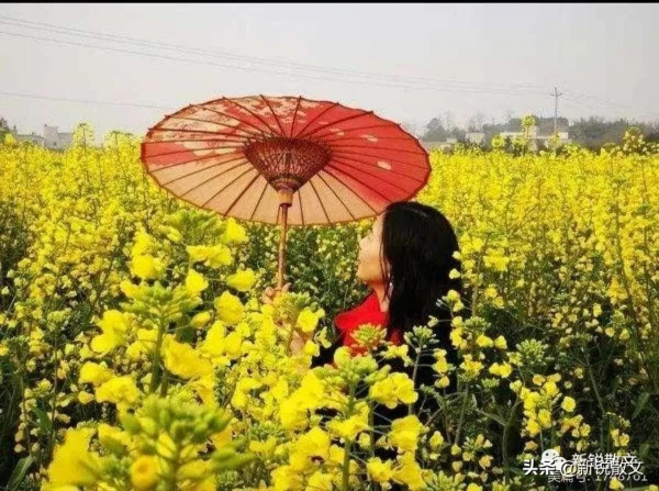 周璇之子遠走天涯望菱湖:我愛你,“最佳的東方樣品” 周璇之子遠走天涯望菱湖:我愛你,“最佳的東方樣品”