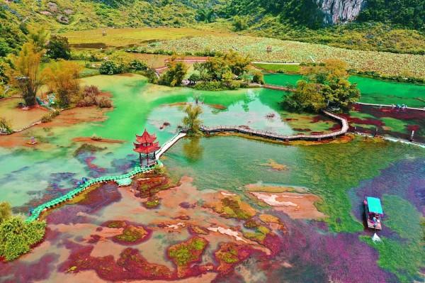 8條適合秋天的短途自駕路線，10-11月出發正當時，您去過幾條？