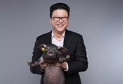 網際網路巨頭投身農業，一頭豬為何被拍出27萬元，丁磊又做了什麼