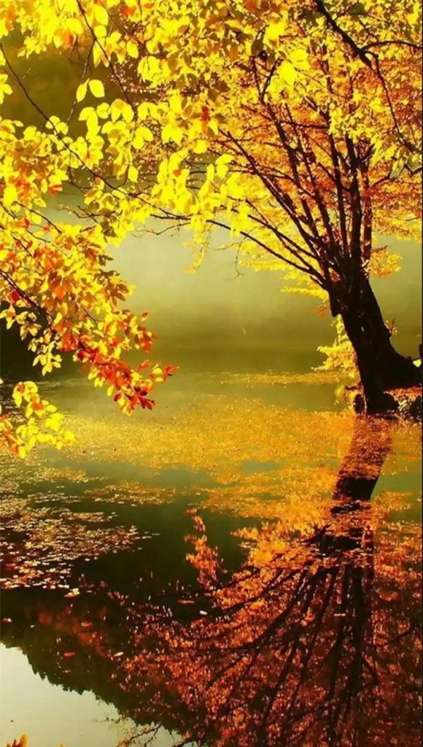 美呆的人間仙境