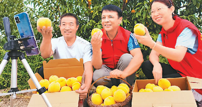 農村土特產搭上了電商快車