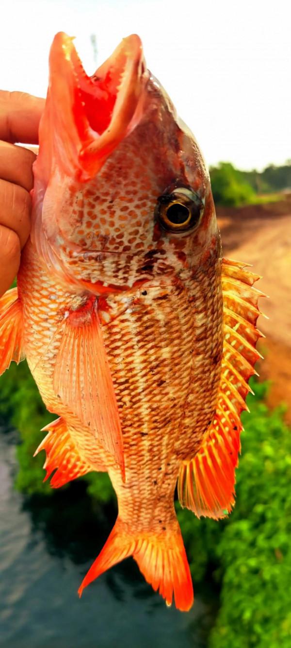 長達數月的海上生活，船員的業餘生活如何？