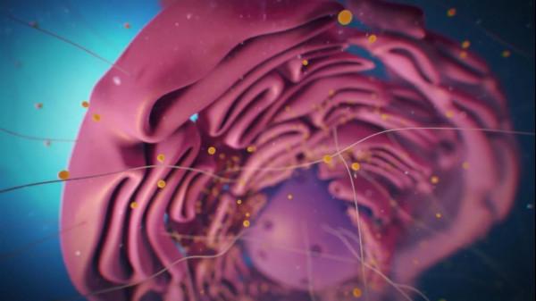 核輻射到底有多恐怖，世界上最慘的人，大內久與核輻射戰鬥了83天