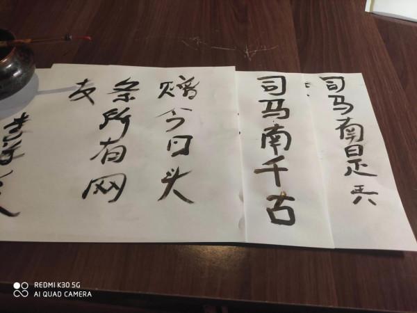 司馬南的書法作品價值大概在200到2800元之間（幅）突破3000很難