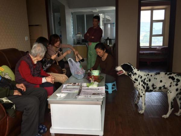 我作為一個非常愛狗的人,為什麼再也不養狗了 我作為一個非常愛狗的人,為什麼再也不養狗了