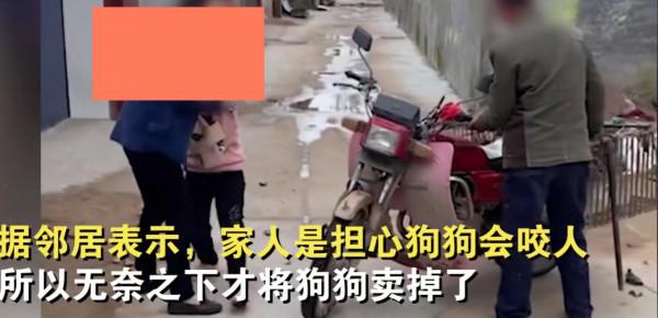 無奈!女孩養了2年的狗,被奶奶10元賣掉,崩潰坐地上大哭 無奈!女孩養了2年的狗,被奶奶10元賣掉,崩潰坐地上大哭