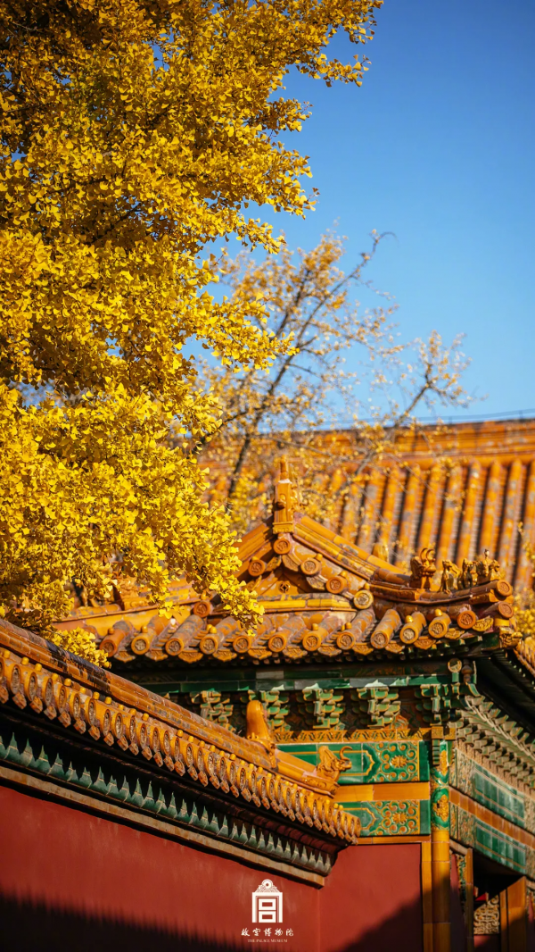 在北京過個秋天，立刻退掉了去騰衝的機票