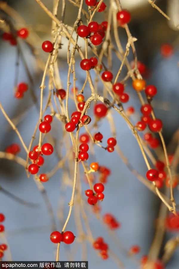 北京離“銀河”最近的地方!人少景美,就在三環邊上! 北京離“銀河”最近的地方!人少景美,就在三環邊上!