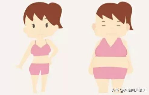 不用捱餓,不用運動,三招讓你輕鬆減去多餘贅肉 不用捱餓,不用運動,三招讓你輕鬆減去多餘贅肉