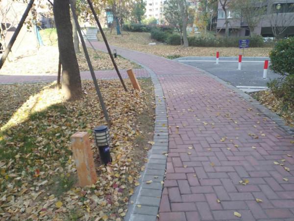 人心太狠!新來的住戶把小流浪貓驅趕走了,不知它們去哪裡流浪了 人心太狠!新來的住戶把小流浪貓驅趕走了,不知它們去哪裡流浪了