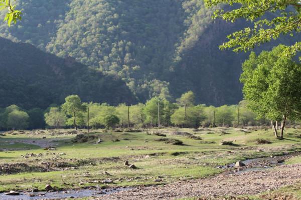 想去壩上草原，哪哪分不清？一篇文章幫你搞明白