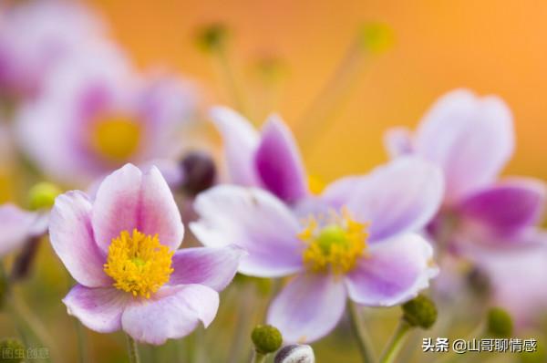 人到中年時，我建議你多讀書，多攢錢，少交朋友