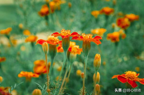 做好這三點，掌握人生的方向盤，活出純粹真我