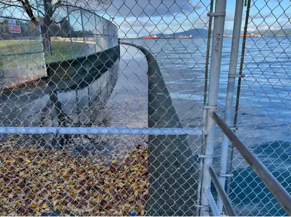 溫哥華市中心被淹!BC連發大雪警報 聖誕樹都沒了...... 溫哥華市中心被淹!BC連發大雪警報 聖誕樹都沒了......