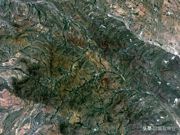 國土“三調”與森林資源一張圖融合將會給林業帶來哪些影響 國土“三調”與森林資源一張圖融合將會給林業帶來哪些影響