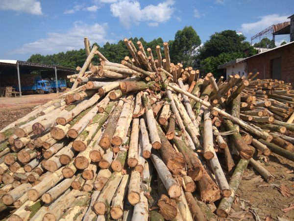 為何電線杆上的支架都是銀色的？為何美國仍大量使用木頭電線杆？