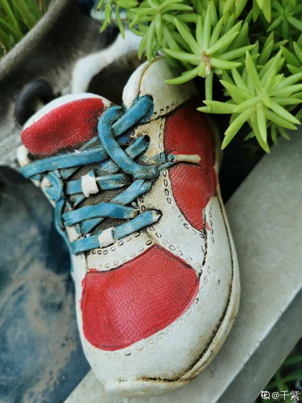 常見4種鞋子，看文章前不會清洗，看完後洗完像新的
