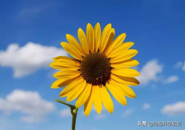 高考志願填報內參——財政學類專業解讀