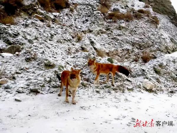 202“憶”② | 這些不期而遇，有靈且美！