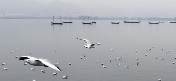 來自西伯利亞的朋友