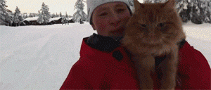 世界上只有兩種貓，俄羅斯的貓，和其他貓