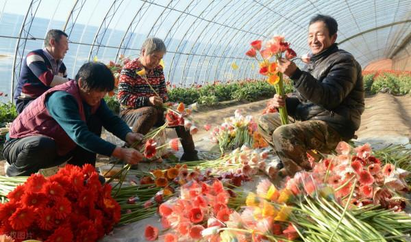 適合農村創業、有國家扶持的好專案!你想幹嗎? 適合農村創業、有國家扶持的好專案!你想幹嗎?