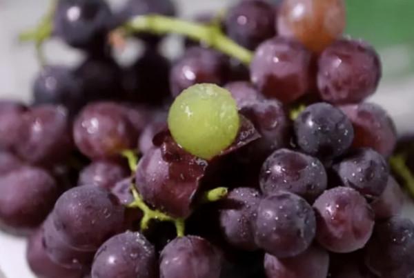 胃不好,每天吃一個蘋果,胃病會好轉嗎?不妨聽聽醫生是怎麼說的 胃不好,每天吃一個蘋果,胃病會好轉嗎?不妨聽聽醫生是怎麼說的