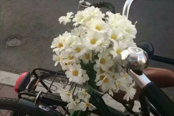 陰暗面很多的星座,很難看透,就像一池潭水,深不見底深不可測 陰暗面很多的星座,很難看透,就像一池潭水,深不見底深不可測