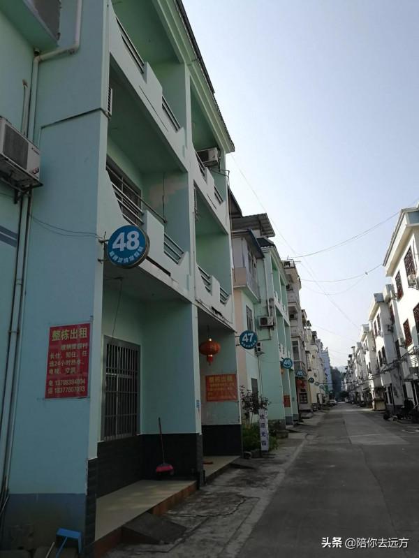 旅居D26-住在壽鄉