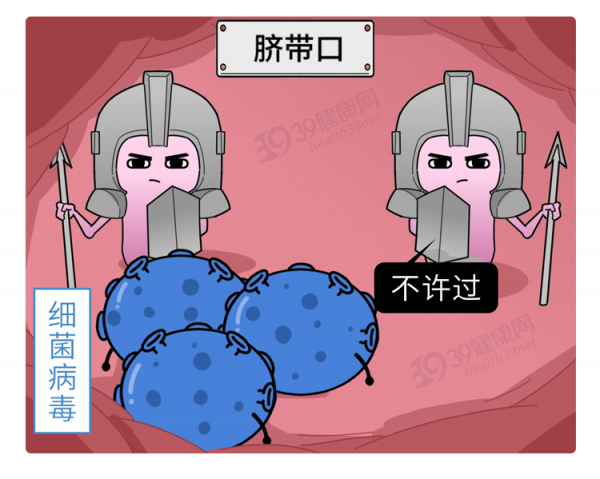 “胎盤”產業鏈曝光,價格不菲!食用人類胎盤,養生還是作死? “胎盤”產業鏈曝光,價格不菲!食用人類胎盤,養生還是作死?