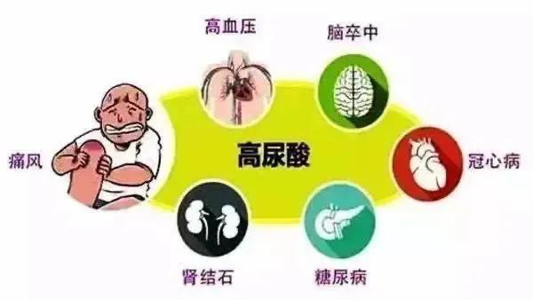 高尿酸伴高血壓、高血脂或糖尿病,如何選降壓藥、降脂藥、降糖藥 高尿酸伴高血壓、高血脂或糖尿病,如何選降壓藥、降脂藥、降糖藥