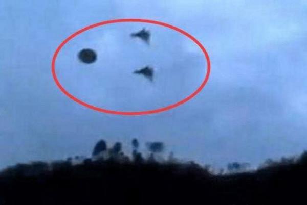 人類只是寄生在地球?宇宙中的星球都是食物? 人類只是寄生在地球?宇宙中的星球都是食物?