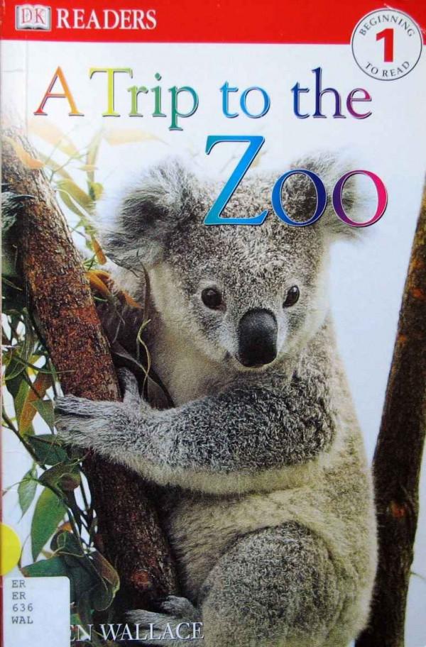 兒童英語科學啟蒙繪本DK Readers分級讀物DK pre--level 4