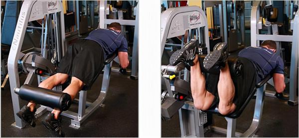 完美的腿部訓練