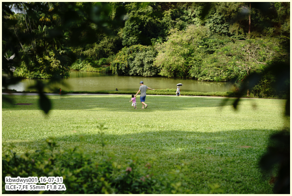 生活雜記:坡島散記08——流連忘返植物園 生活雜記:坡島散記08——流連忘返植物園