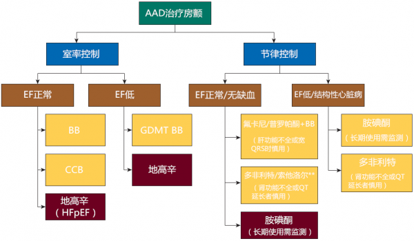抗心律失常藥物治療房顫：臨床案例和用藥要點