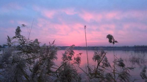 網際網路是有記憶的——一個人的網際網路史