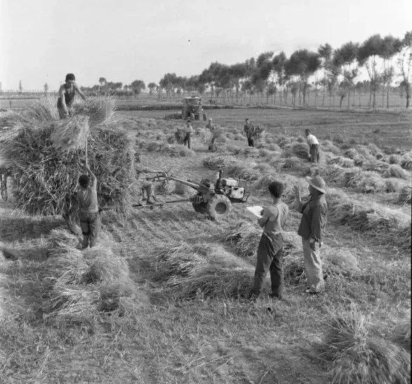 80年代的父親和村裡第一臺黑白電視 80年代的父親和村裡第一臺黑白電視