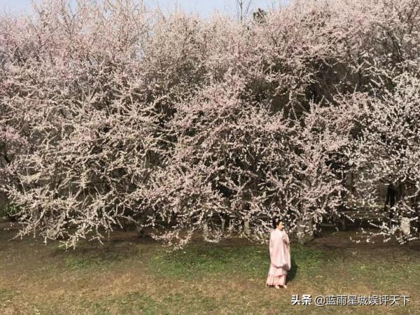 京城踏青，春花浪漫：北京春天賞花攻略之桃花篇（親測、實用）