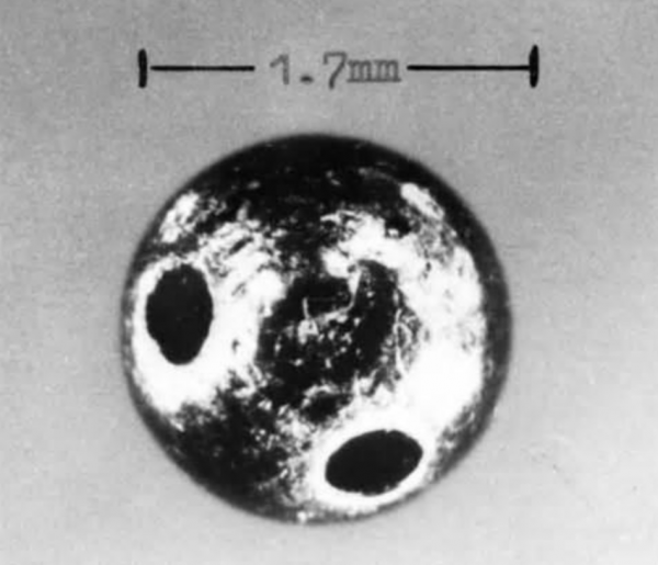 蓖麻在中國農村很常見，為什麼會被美國列為國家機密與戰略物資？